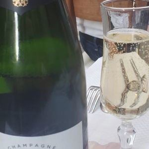 Meet your Posher, Marie